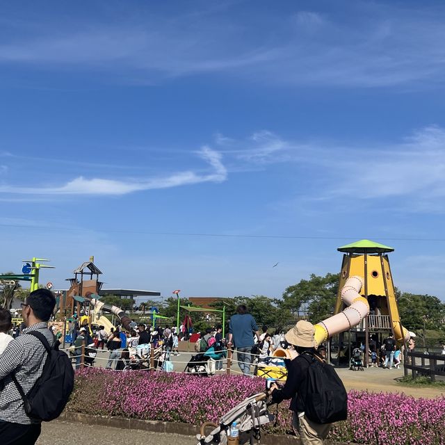 Yokosuka Soliel 