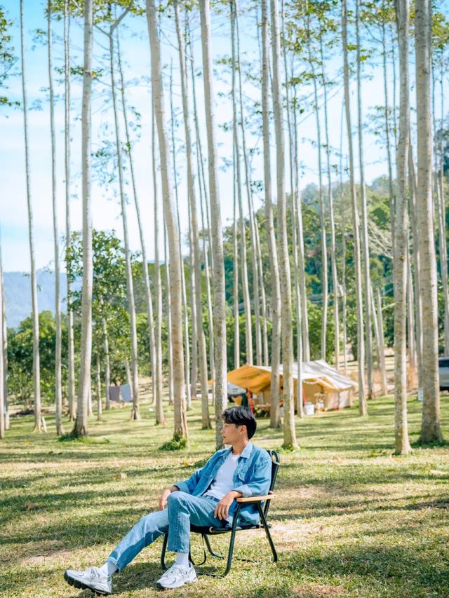 หยุดยาวนี้ ชวนเพื่อนไปตั้งแคมป์ที่ "ณ วนา" กัน🍃