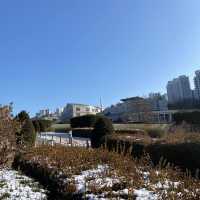  Winter Moments at Ewha Womans University