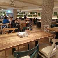 MOLINO 台中草悟廣場店 寵物友善餐廳 手工義大利麵