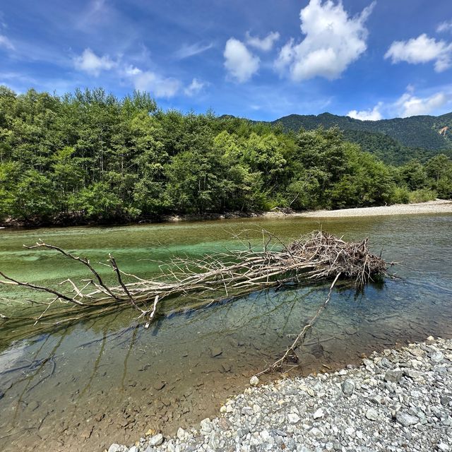 上高地 ｜大正池藍色的天堂