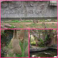 新竹市立動物園