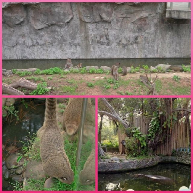 新竹市立動物園