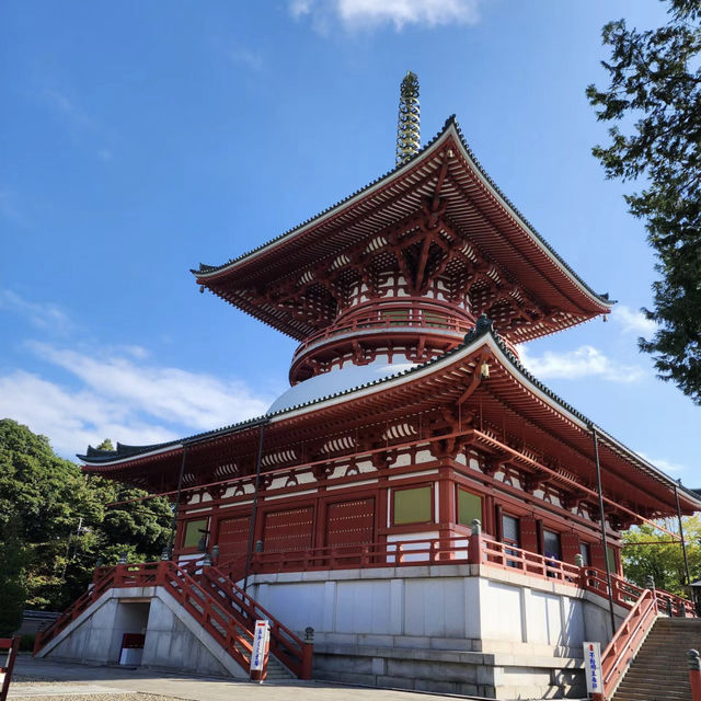 追尋自然與寧靜！成田山公園🌳🏞️🌸