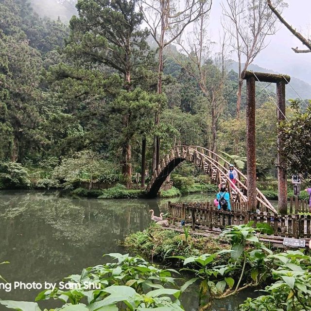 我思好景常青戀情永在的懷念-養身養性