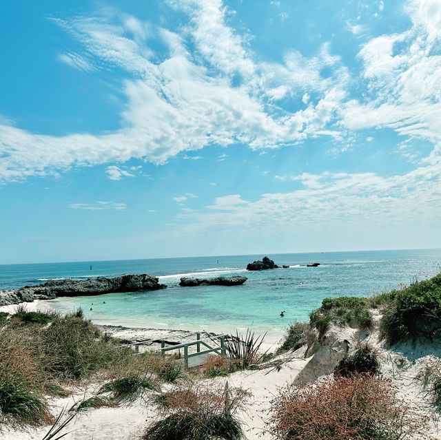 Picture Perfect Discovery Rottnest 