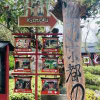Holiday at Bandung, Indonesia 