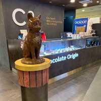 Cute Cacaocat Bugis Junction