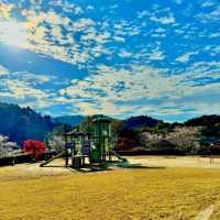 四季桜公園
