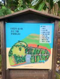 🌳제주 동쪽여행 걷기 좋은 숲길, "비밀의숲"🌳