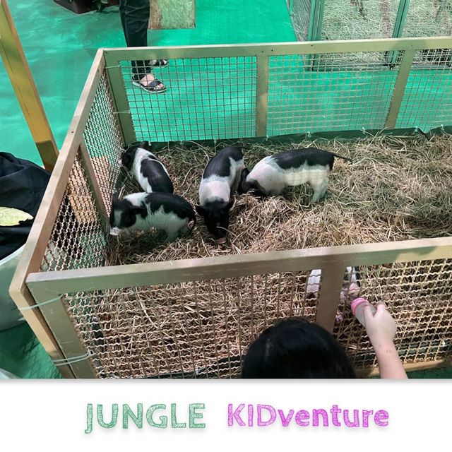 น้องสัตว์น่ารักที่งาน Jungle Kidventure