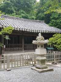 🇯🇵 Amida Buddha at Kotoku-in Temple