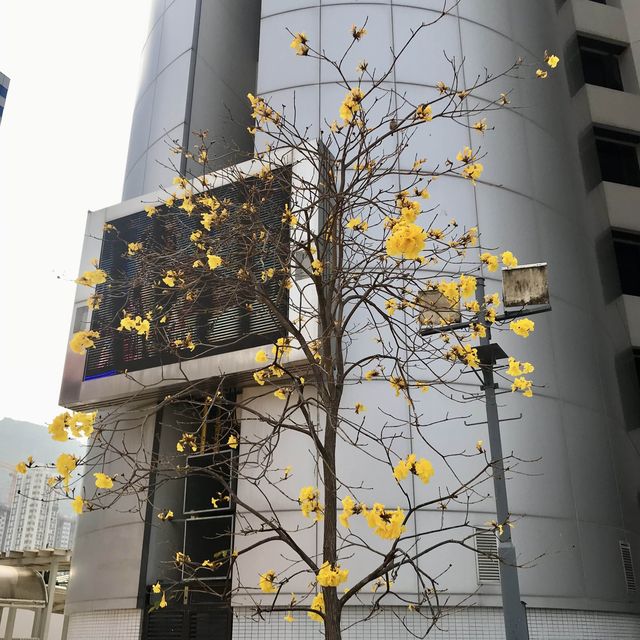 Airy, Spacious and Easily Reached Park