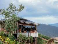 CAMP Phuchifa แคมป์ภูชี้ฟ้า 
