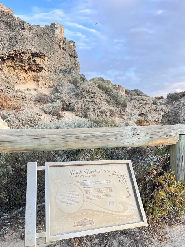 Whadjuk Trails! Cottesloe Fine Sand Beach🤩