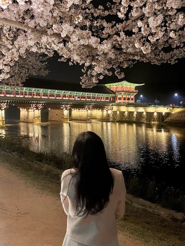 당일치기 가능한 경주 벚꽃명소 코스 🌸