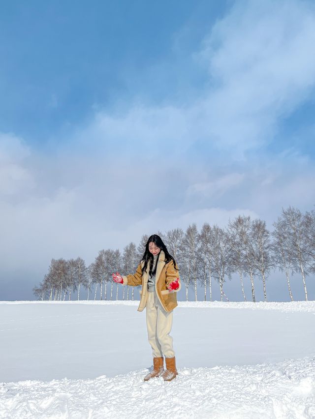 비에이 버스투어의 첫번째 코스, 패치워크로드 ⛄️
