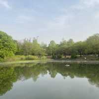 튤립🌷이 한가득 피어있는 “서울숲” 🌳