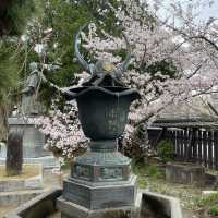 【福岡】桜百選西公園にある光雲神社参拝
