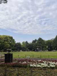 東京【日比谷公園】東京の公園でネモフィラが見れる場所💙