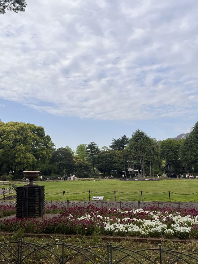 東京【日比谷公園】東京の公園でネモフィラが見れる場所💙