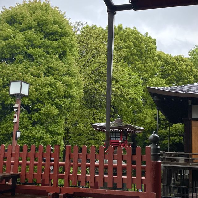 달의 소나무가 있는 청수관음당🌲