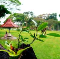 Beautiful Upper Seletar Reservoir Park