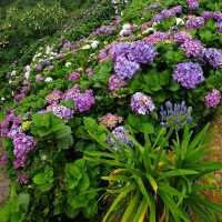 ATOK BENGUET IS A SUCCULENTS CITY
