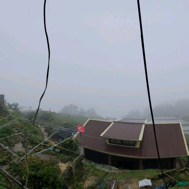 ATOK BENGUET IS A SUCCULENTS CITY