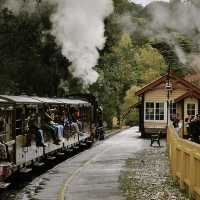 🚂 Choo Choo! All Aboard the Puffing Billy Steam Train! 🌫️