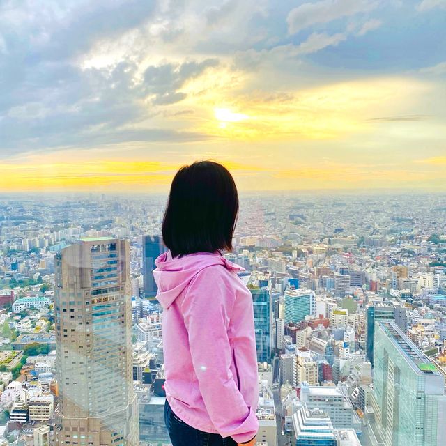 View from Shibuya Sky