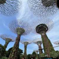 Marvel at the Supertrees