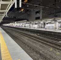 【山梨】甲府盆地へ！甲府駅