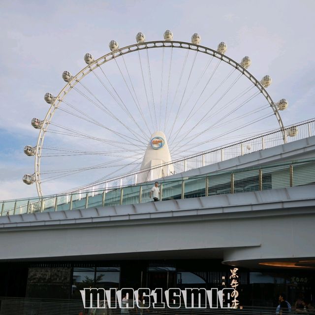 深圳歡樂港灣摩天輪🎡鐘書館📚