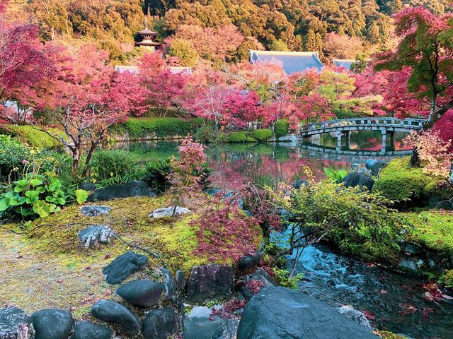 เที่ยวใบไม้เปลี่ยนสี เกียวโต วัดเอกันโดเซ็นริน 🍁⛩️