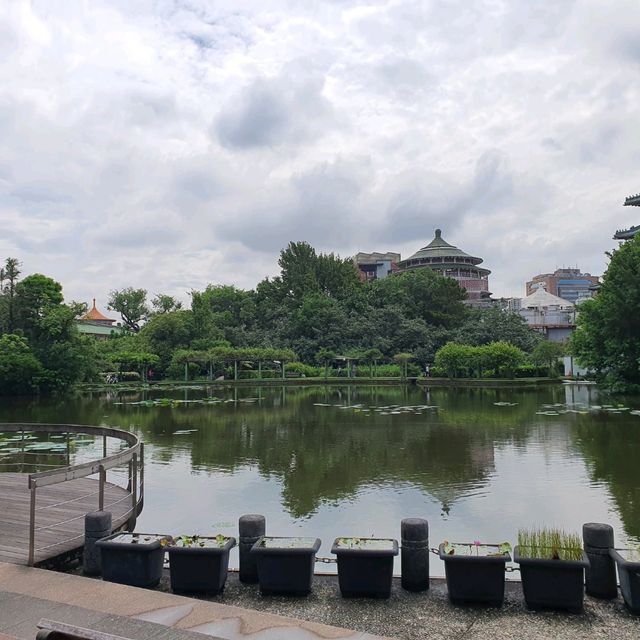  Taipei Botanical Garden สวนสวยใจกลางเมือง