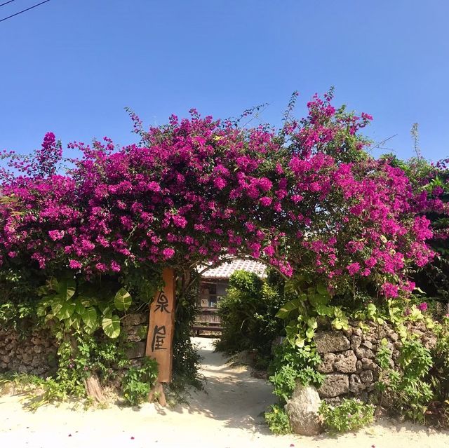 【沖縄 竹富島】一度は行っておきたい竹富島