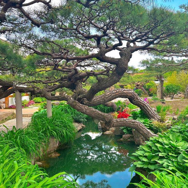 경주 교촌마을 한정식 코스요리