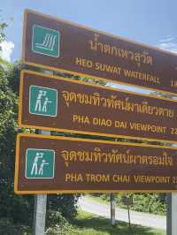 เจอน้องกวางระหว่างทางที่เขาใหญ่ 🏕️