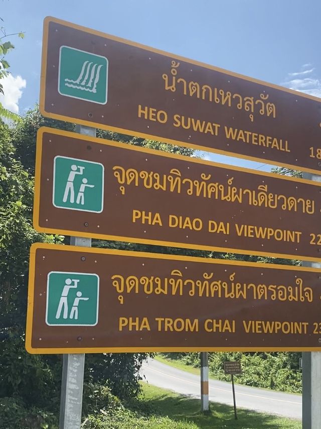 เจอน้องกวางระหว่างทางที่เขาใหญ่ 🏕️