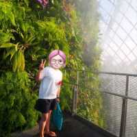 💟超級夢幻濱海花園💟