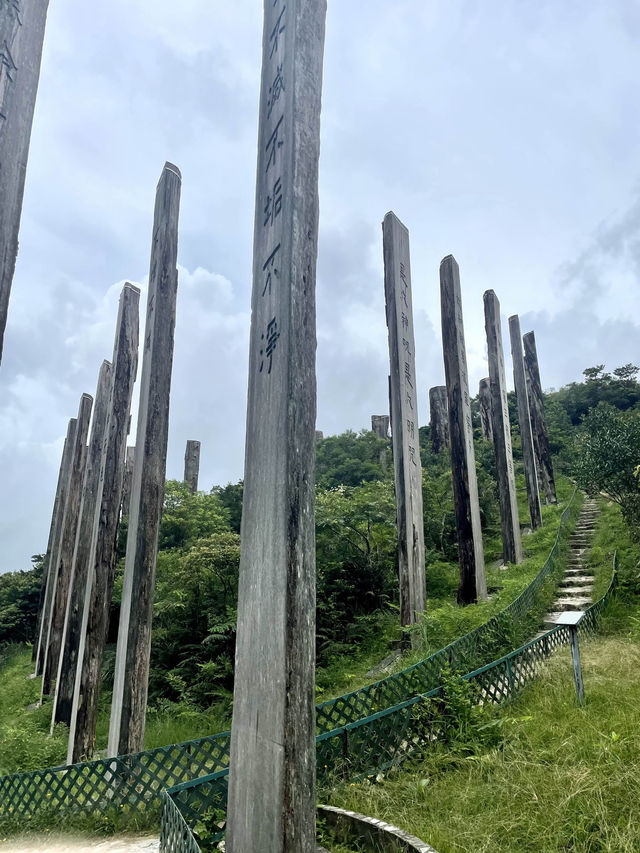 香港大嶼山林中 秘境㊙️