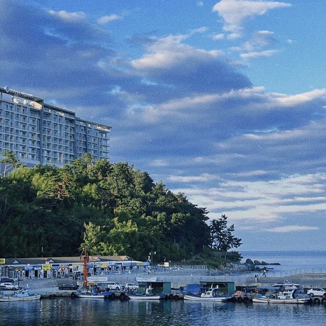 🌊 속초 롯데 리조트: 호캉스 후기 🌴