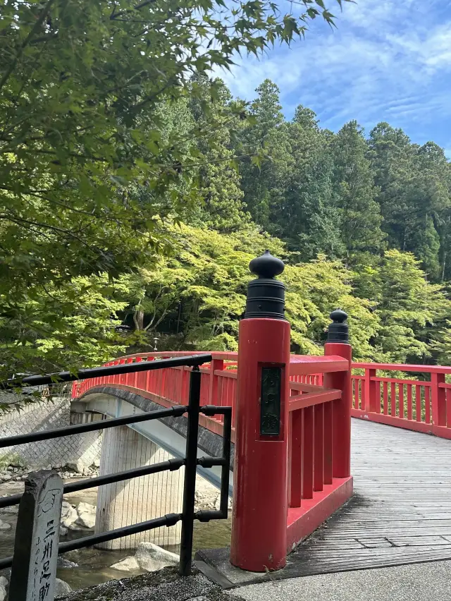 《愛知旅行》 おすすめ観光スポット🚩香嵐渓!