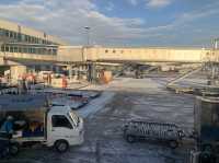 大阪　大阪観光　新千歳空港から伊丹空港へANA premium classでフライトしてきた！