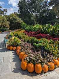 The Dallas Arboretum and Botanical Garden 🪴