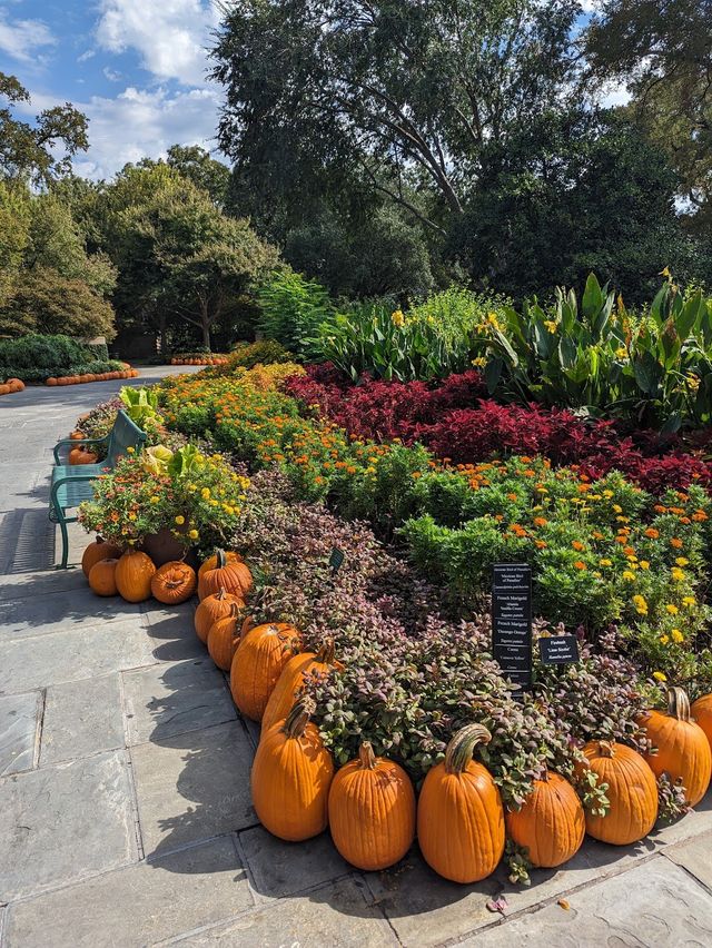 The Dallas Arboretum and Botanical Garden 🪴