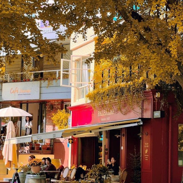 Beautiful Falling season in Seoul City