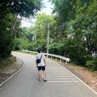 หนาวนี้ไม่เหงามาเที่ยวเขาแหลมหญ้า ระยอง