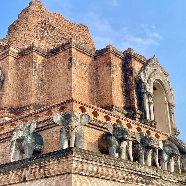 Chiang Mai's Towering Temple Legacy